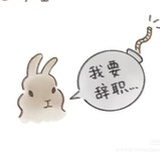 usagi