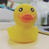 實習中