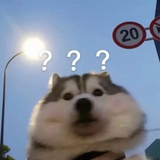 沙棘锅（登基中