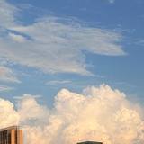 月亮猫与星星狗