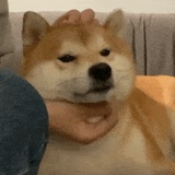 ～