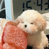 抹茶芋圆