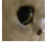 MingM