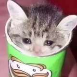哼哼