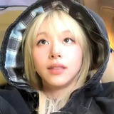 外星狗