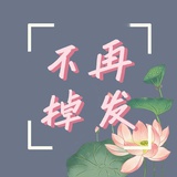 不再掉发