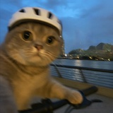 民用二轮车司机