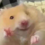 咖啡因