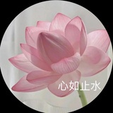 春夏秋冬又一春