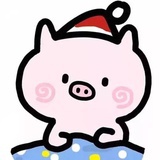 我不是momo