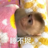禁言中。。。