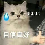 猫猫饲养员