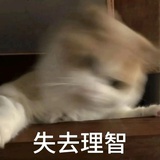 失眠可乐