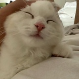 还能再划一会儿