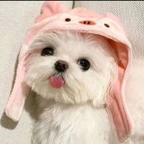 。
