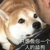 豆友237053758