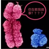 么么公主