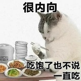 饿不饿-
