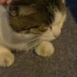 85