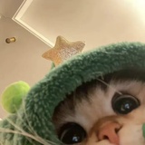 Totoro