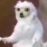 豆友237755114