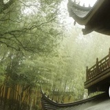 燕泠