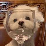 啊毕