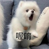 清汤大老爷