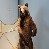 宇宙英雄奥特曼