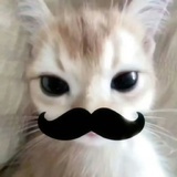 owow