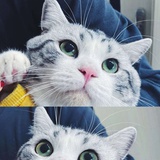 啦啦啦