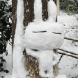 游人
