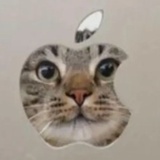 斯普特尼克