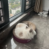 躺平太快乐了吧