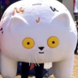 退休猿工