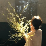 蒹葭不知秋