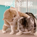溜溜梅