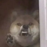 发粪涂墙