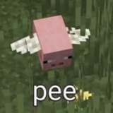oaoa