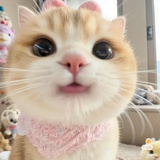 momo