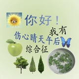 AkNF