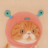 沙了泥