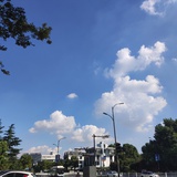 神经蛙