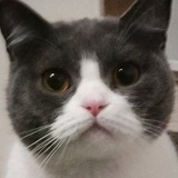 老板遭天谴