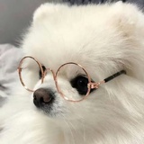椰椰拿铁