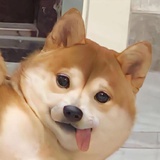林小牙