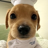 正在输入中