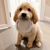 茗🍵