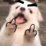 史迪仔😈
