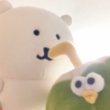椰子观察日志🥥